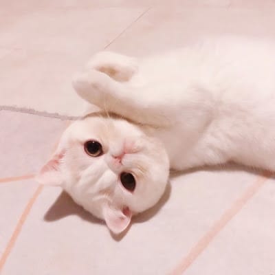 Risa Hontiveros avatar